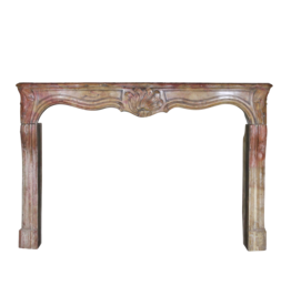 Regency Period French Chique Multi Color Fireplace Surround