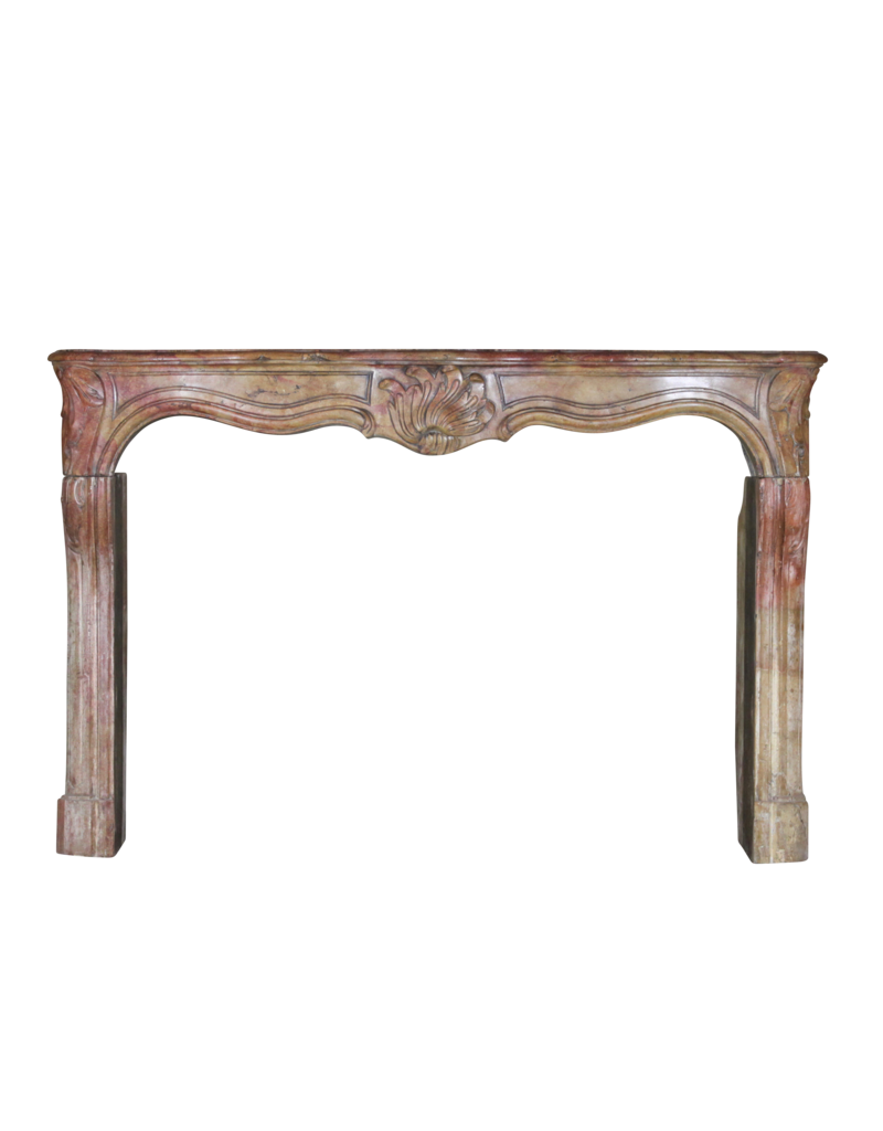 Regency Period French Chique Multi Color Antique Fireplace Surround