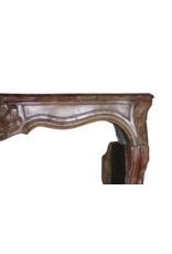 Maison Leon Van den Bogaert Elegante antike französische Kaminumrandung aus der Régence-Zeit