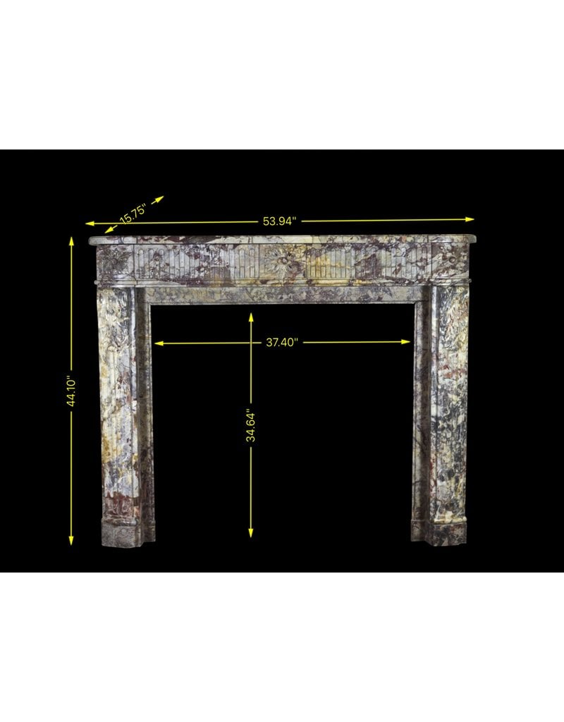 Maison Leon Van den Bogaert Elegante antike französische Kaminumrandung aus dem 18. Jahrhundert