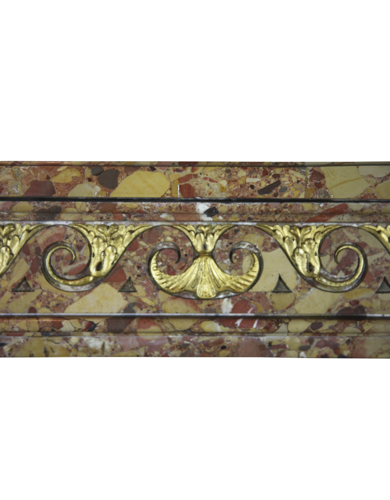 Elegant French Chique Brêche Marble Vintage Fireplace Surround