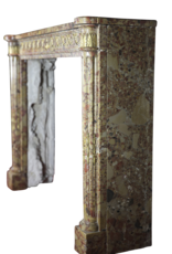 Elegant French Chique Brêche Marble Vintage Fireplace Surround