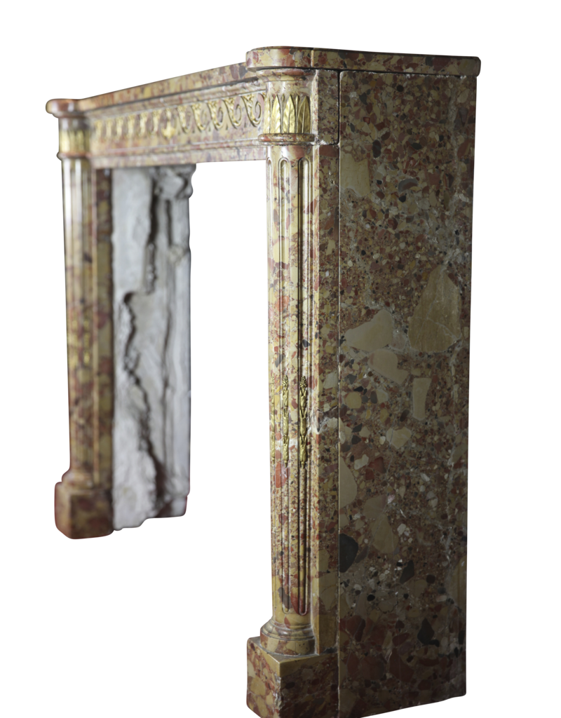 Elegant French Chique Brêche Marble Vintage Fireplace Surround