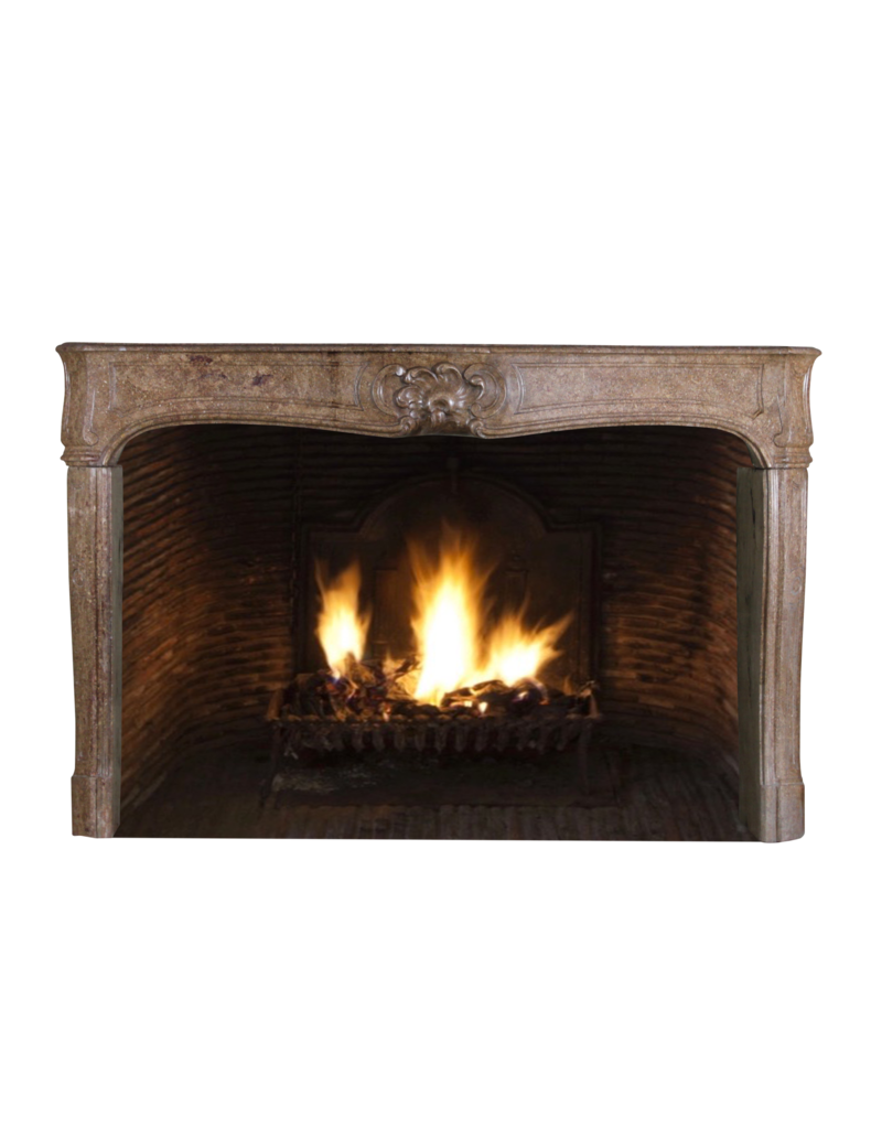 Maison Leon Van den Bogaert Klassisch elegante französische Vintage-Kaminumrandung