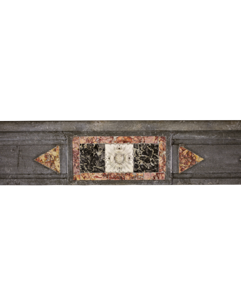 Maison Leon Van den Bogaert Mármol Siglo 18 Antiguo Fino Chimenea De Piedra