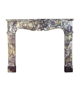 French Belle Epoque Period Antique Fireplace Surround