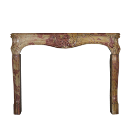 18Th Century Chique Multi Color Created By Nature Stone Fireplace Surround