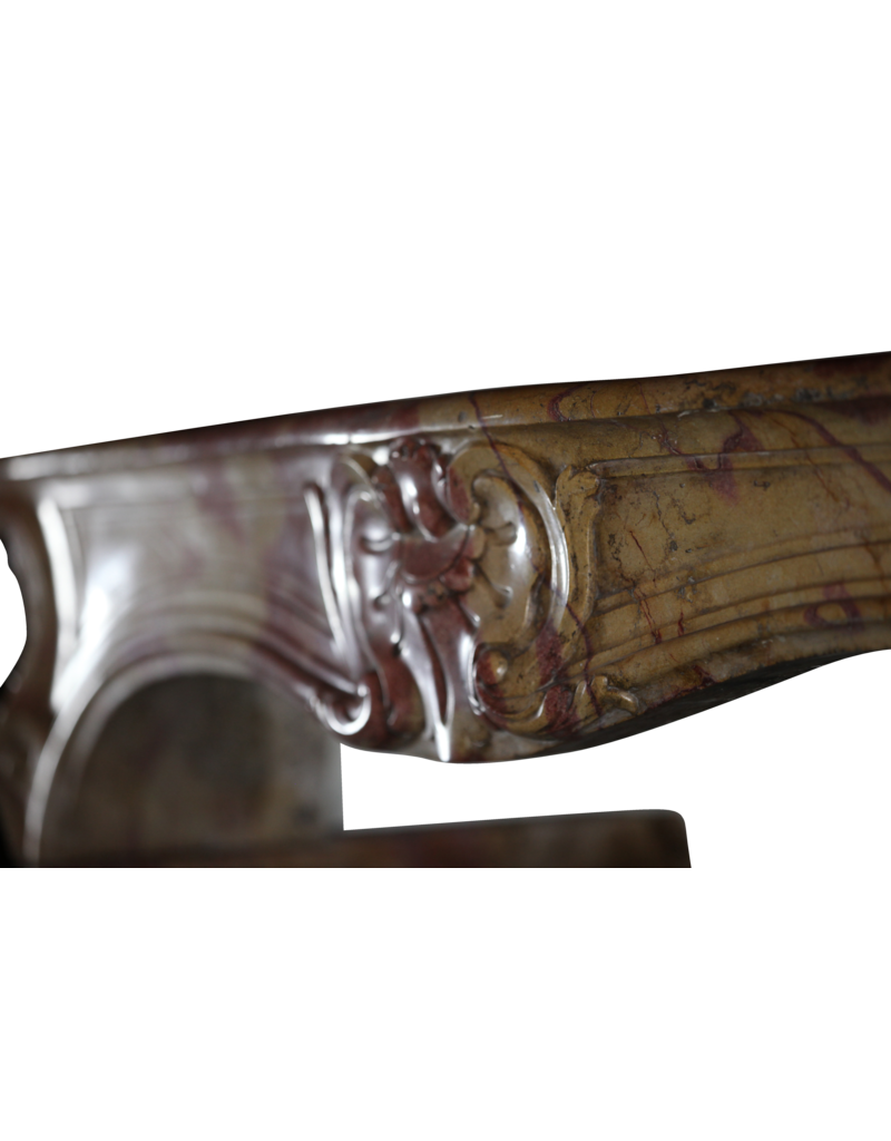 Maison Leon Van den Bogaert 18. Jahrhundert elegant mehrfarbig erstellt von der Natur, Stein, antike Kaminumrandung