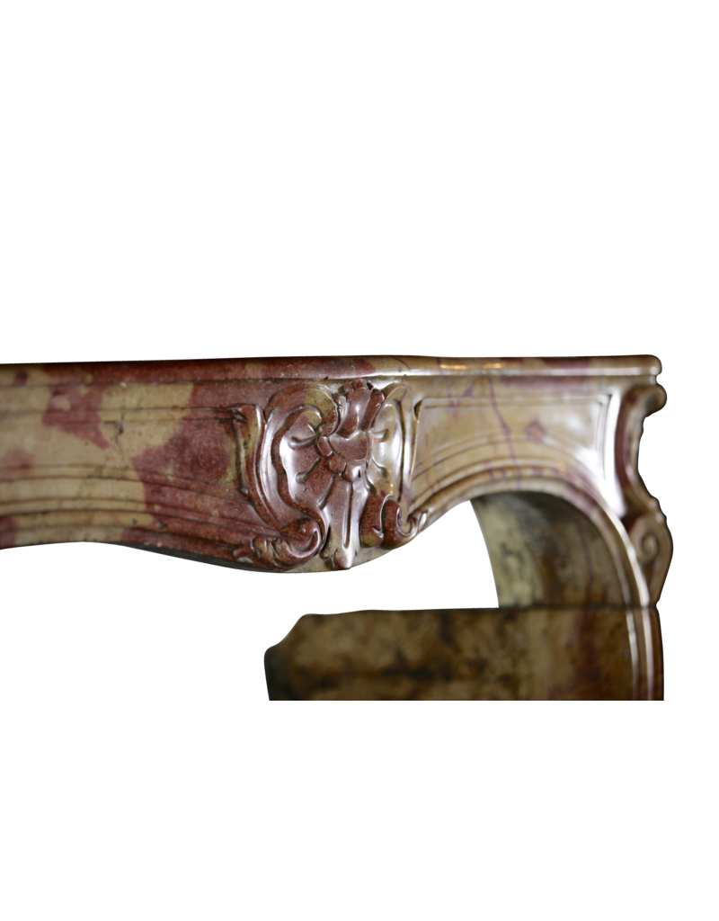 Maison Leon Van den Bogaert 18. Jahrhundert elegant mehrfarbig erstellt von der Natur, Stein, antike Kaminumrandung
