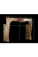 Maison Leon Van den Bogaert 18th Century Chic Multi Color Created by Nature Stone Antique Fireplace Surround