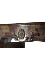 Maison Leon Van den Bogaert Von der Natur geschaffene französische Kaminumrandung aus hartem Kalkstein