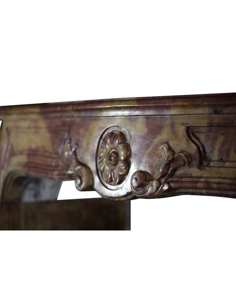 Maison Leon Van den Bogaert Von der Natur geschaffene französische Kaminumrandung aus hartem Kalkstein