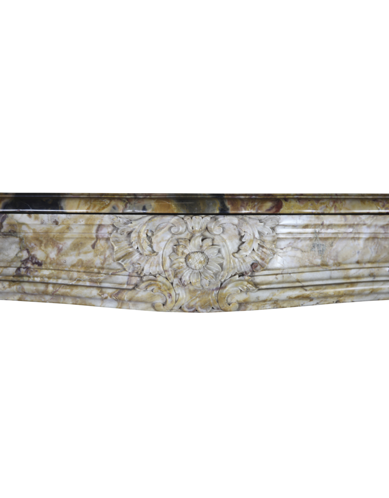 Luxury Antique Marble Fireplace Surround