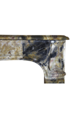 Luxury Antique Marble Fireplace Surround