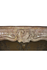 Belgian Belle Epoque Period Fireplace Surround