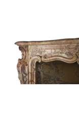 Belgian Belle Epoque Period Fireplace Surround