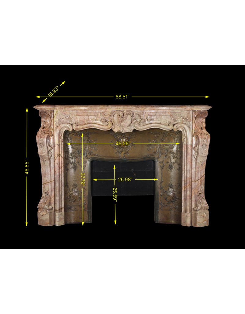 Belgian Belle Epoque Period Fireplace Surround