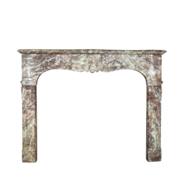 French 19Th Century Multi Color Marble Fireplace Surround