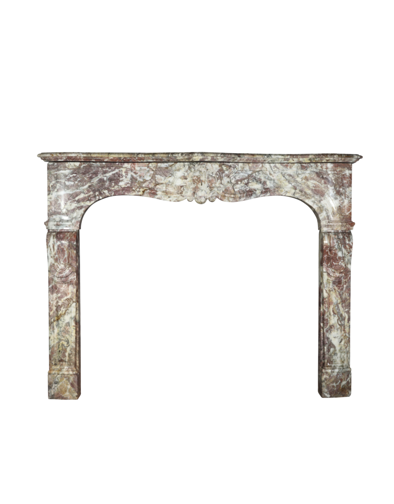 French 19Th Century Chique Multi Color Marble Fireplace Surround