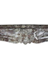 French 19Th Century Chique Multi Color Marble Fireplace Surround