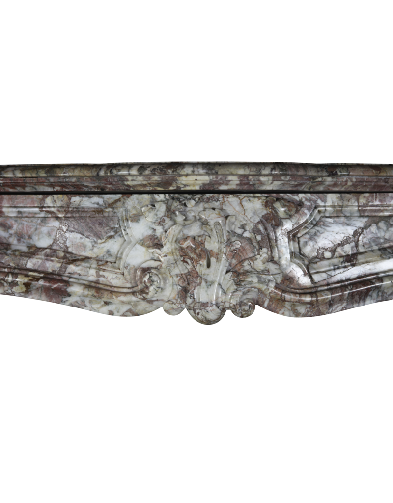 French 19Th Century Chique Multi Color Marble Fireplace Surround