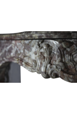 French 19Th Century Chique Multi Color Marble Fireplace Surround
