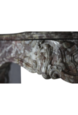 Maison Leon Van den Bogaert Elegante französische Kaminumrandung aus mehrfarbigem Marmor aus dem 19. Jahrhundert