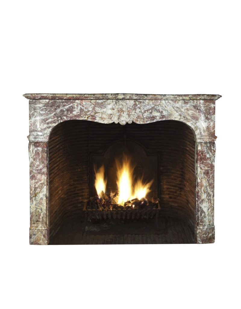 French 19Th Century Chique Multi Color Marble Fireplace Surround