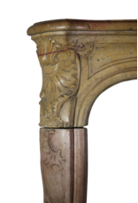 Rich Created Bicolor By Nature 18Th Century Period Fireplace Surround