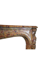 Maison Leon Van den Bogaert Elegante antike französische Kaminumrandung aus dem 18. Jahrhundert