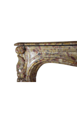 Maison Leon Van den Bogaert 18th Century Chic French Antique Fireplace Surround