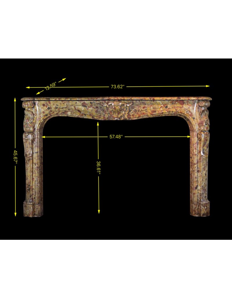 Maison Leon Van den Bogaert 18th Century Chic French Antique Fireplace Surround
