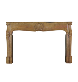 Maison Leon Van den Bogaert Französisch Regentschaft Period Kamin Maske in Zweifarbig Hartem Kalkstein