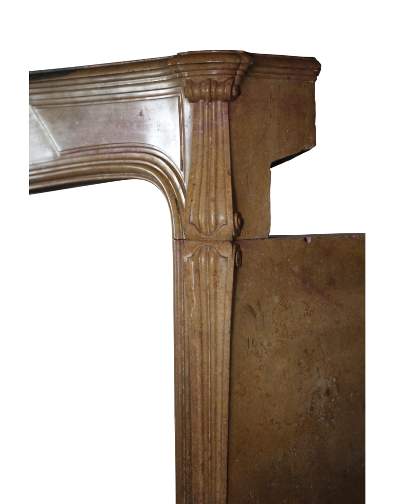 French Regency Period Antique Fireplace Surround In Bicolor Hard Limestone