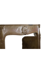 French Regency Period Antique Fireplace Surround In Bicolor Hard Limestone