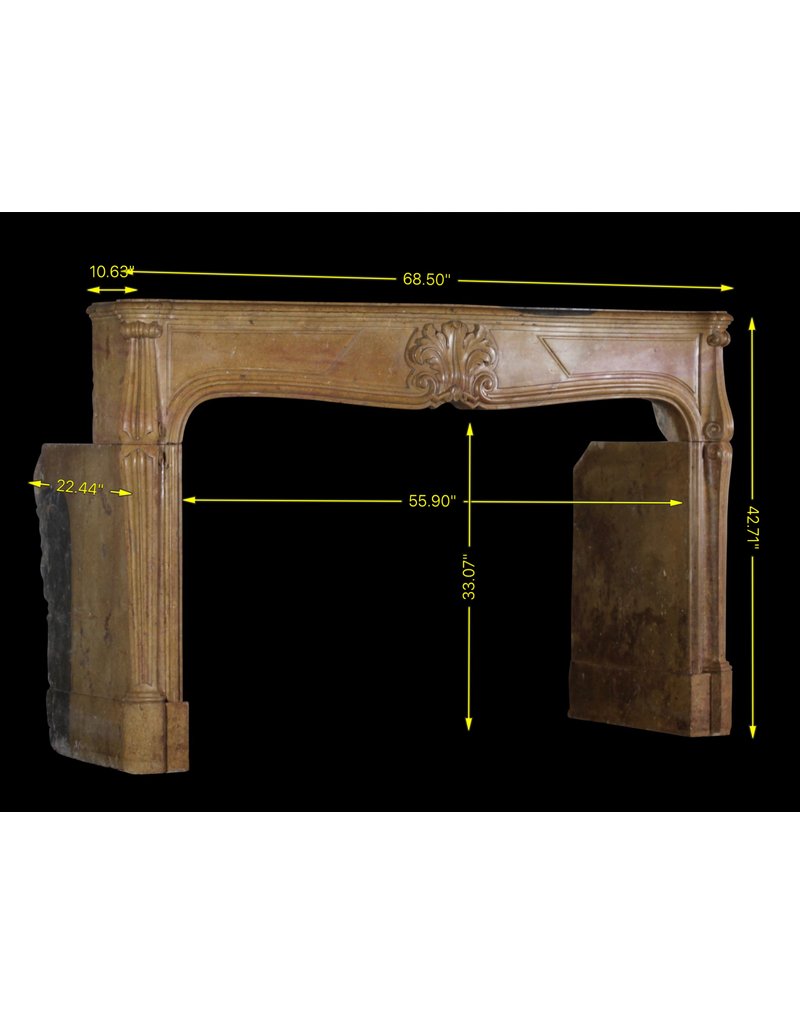 Exceptionnelle Cheminée De Château Bicolore