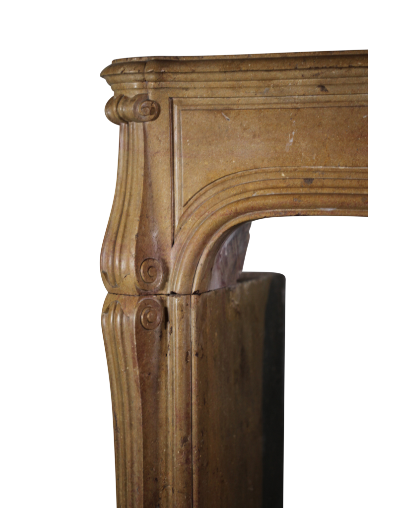 French Regency Period Antique Fireplace Surround In Bicolor Hard Limestone