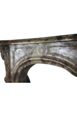 Maison Leon Van den Bogaert French Chic Royal Marble Antique Fireplace Surround