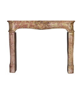 Maison Leon Van den Bogaert 18Th Century Created By Nature Vintage Fireplace Surround