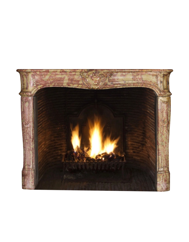 18Th Century Created By Nature Vintage Fireplace Surround