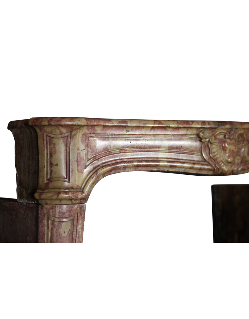 18Th Century Created By Nature Vintage Fireplace Surround