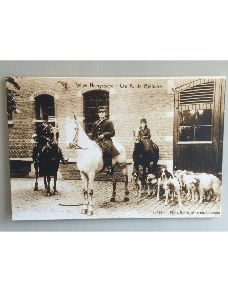 Belgische Adelijke Kasteel Schouw