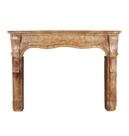 Chique Antique Stone Fireplace Surround