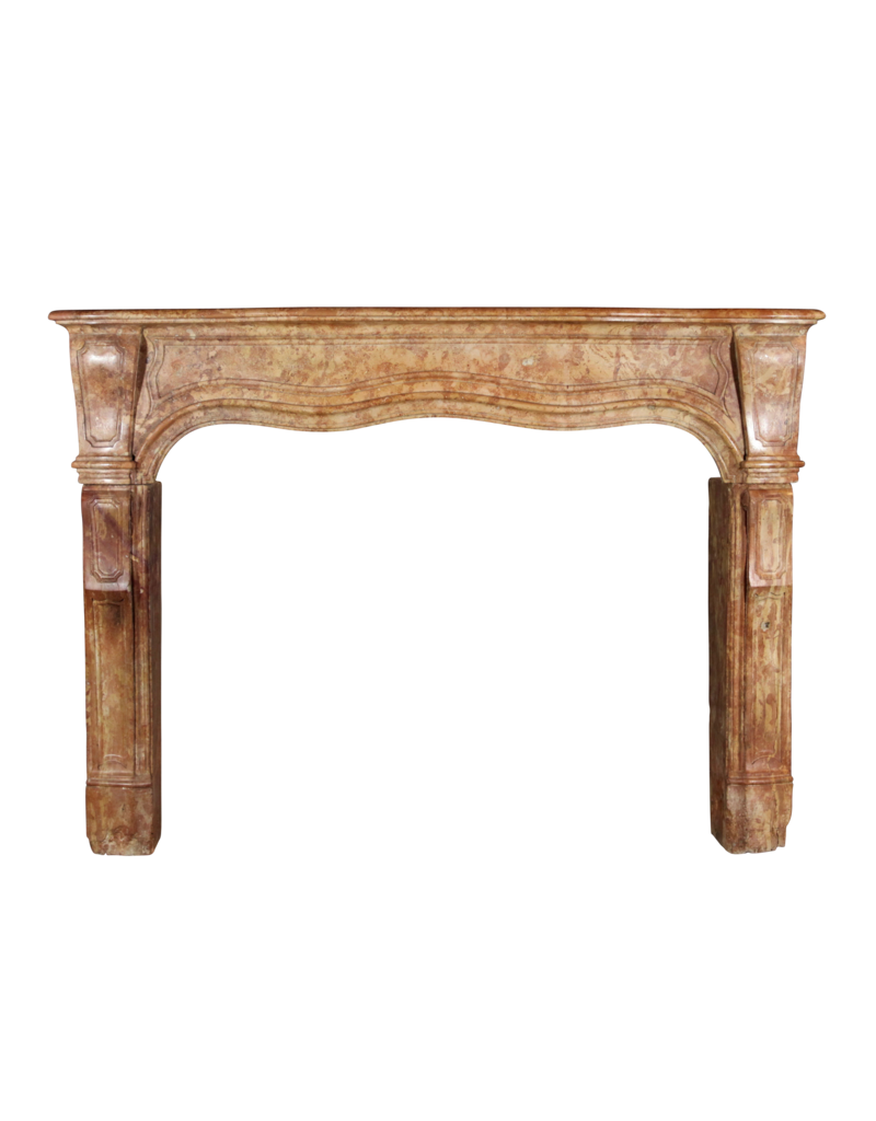 Chique Antique Stone Fireplace Surround