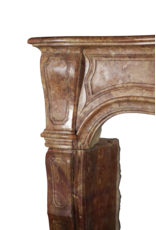 Maison Leon Van den Bogaert Elegante antike Kaminumrandung aus Stein