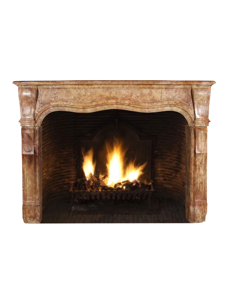 Chique Antique Stone Fireplace Surround