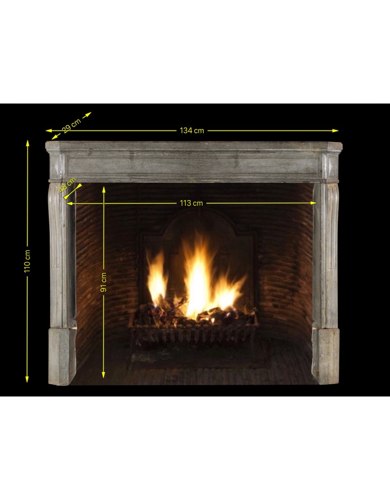 Maison Leon Van den Bogaert Timeless pequeña gris Europea chimenea