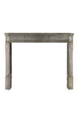 Small Timeless Grey European Fireplace Surround