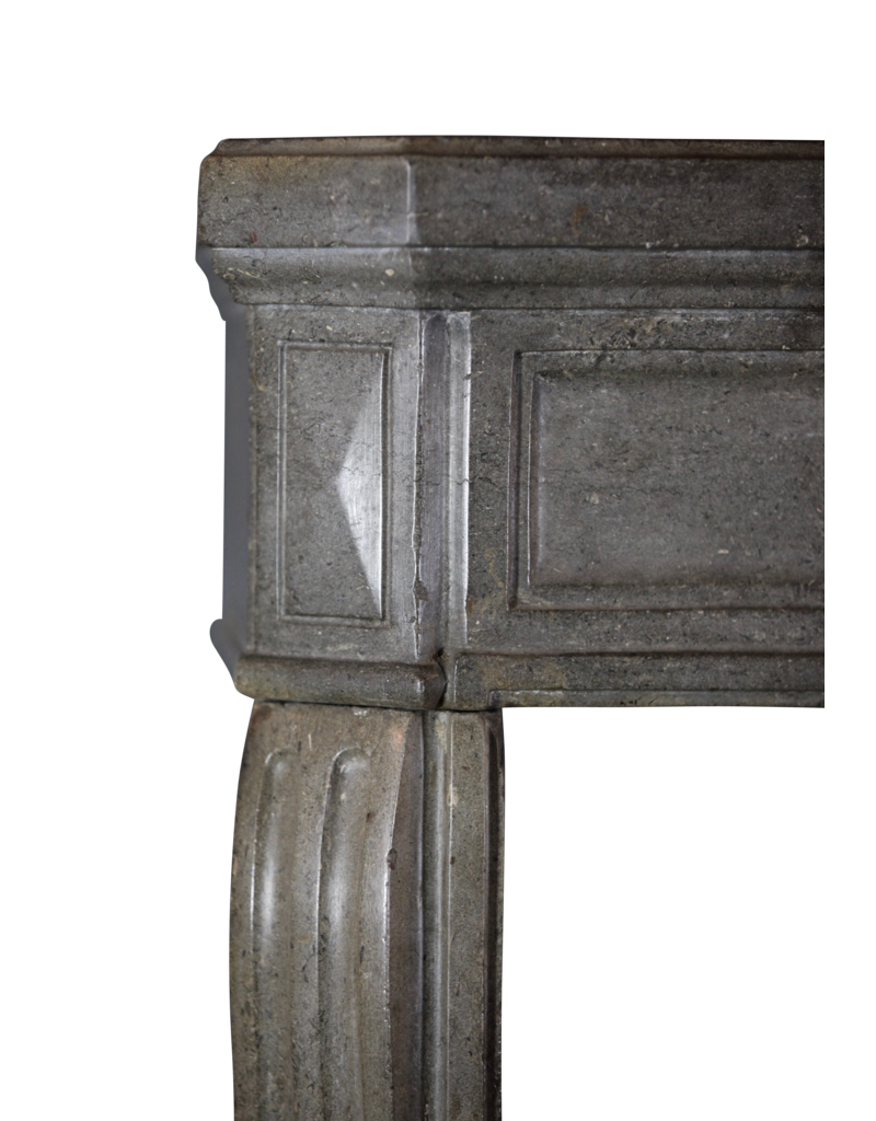 Maison Leon Van den Bogaert Timeless pequeña gris Europea chimenea