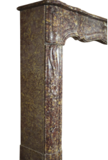 Maison Leon Van den Bogaert Chic 18th Century Antique Marble Fireplace Surround